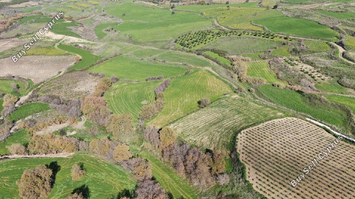 land for sale stroumbi paphos 1897619 image 14206893