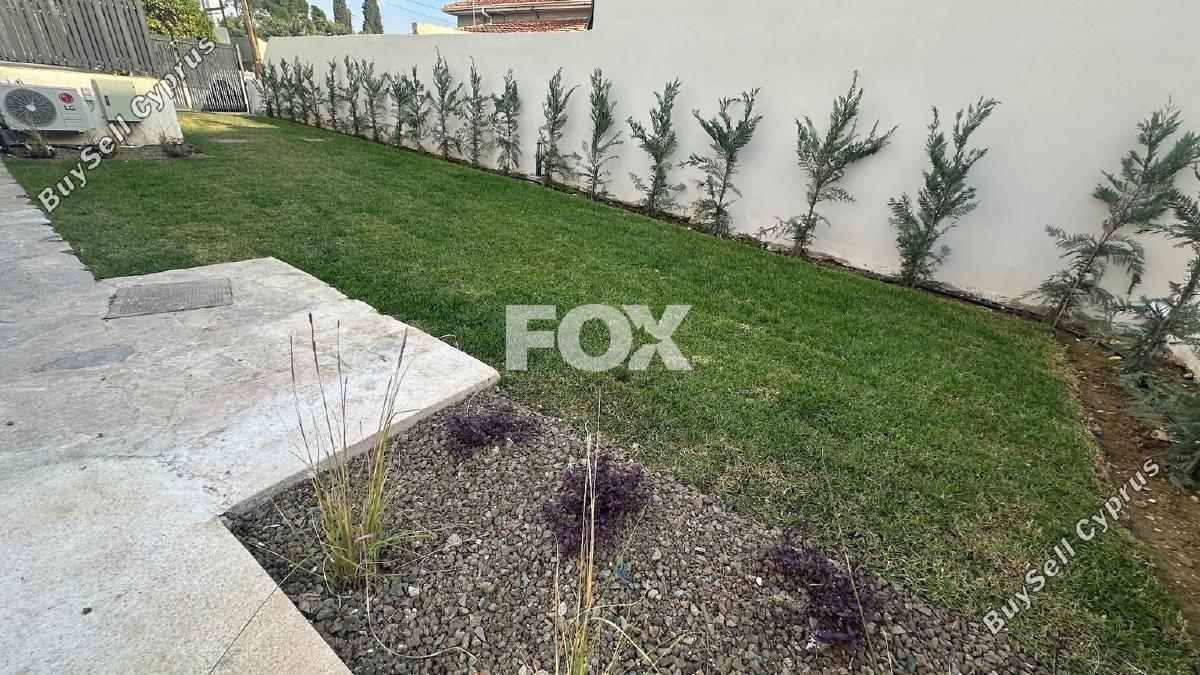 studio commercial building for rent agios nicolaos limassol 1562619 image 5640325