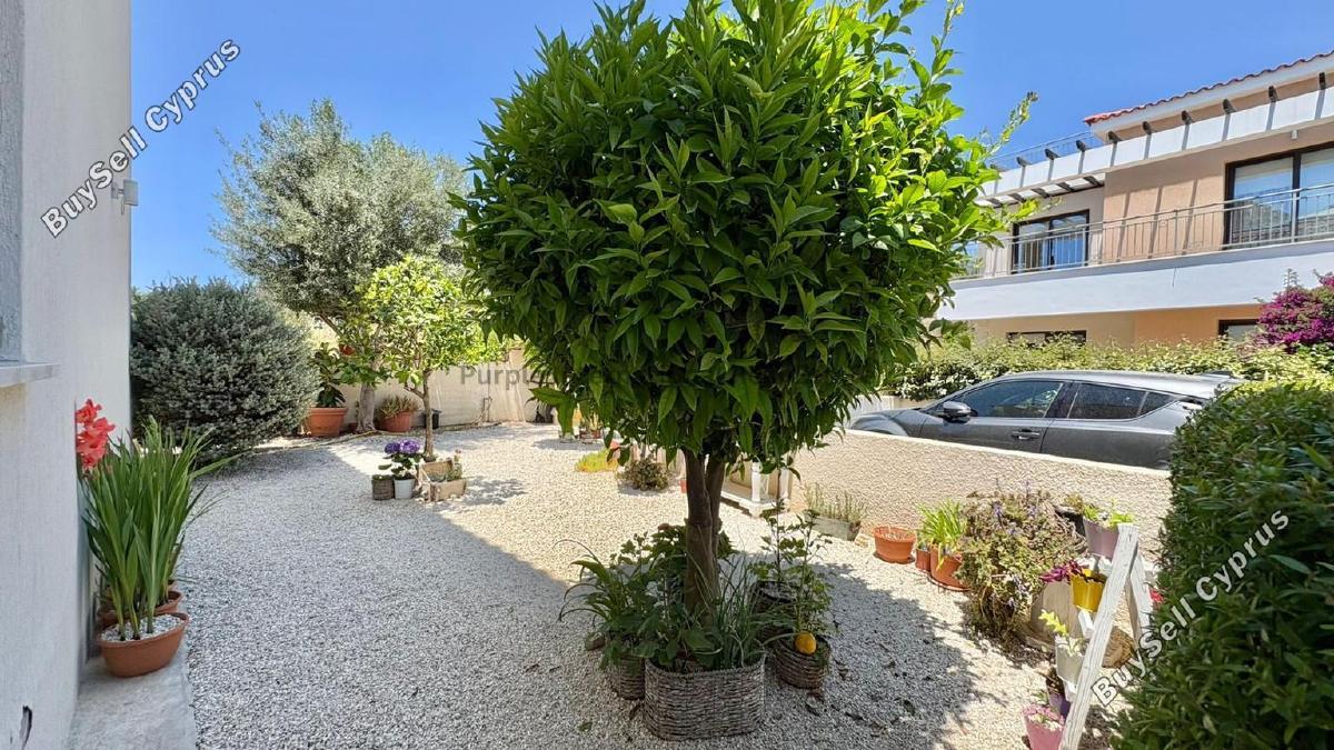 3 bedroom detached house for sale peyia paphos 7546719 image 10309143