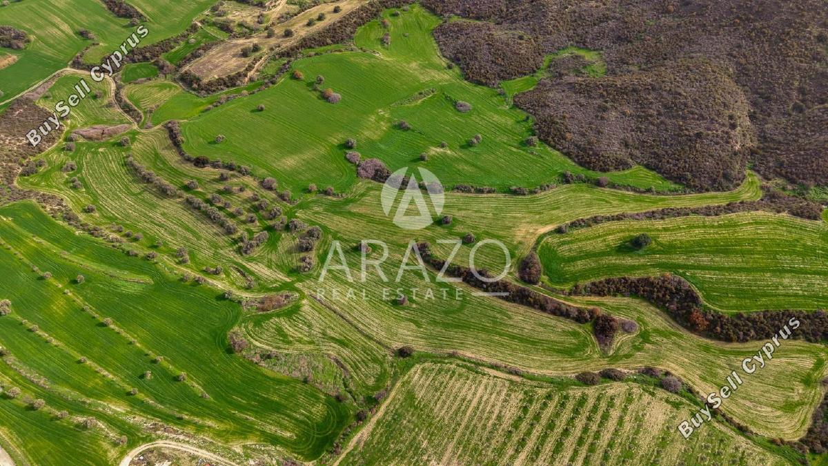 land for sale kofinou larnaca 8168719 image 13530805
