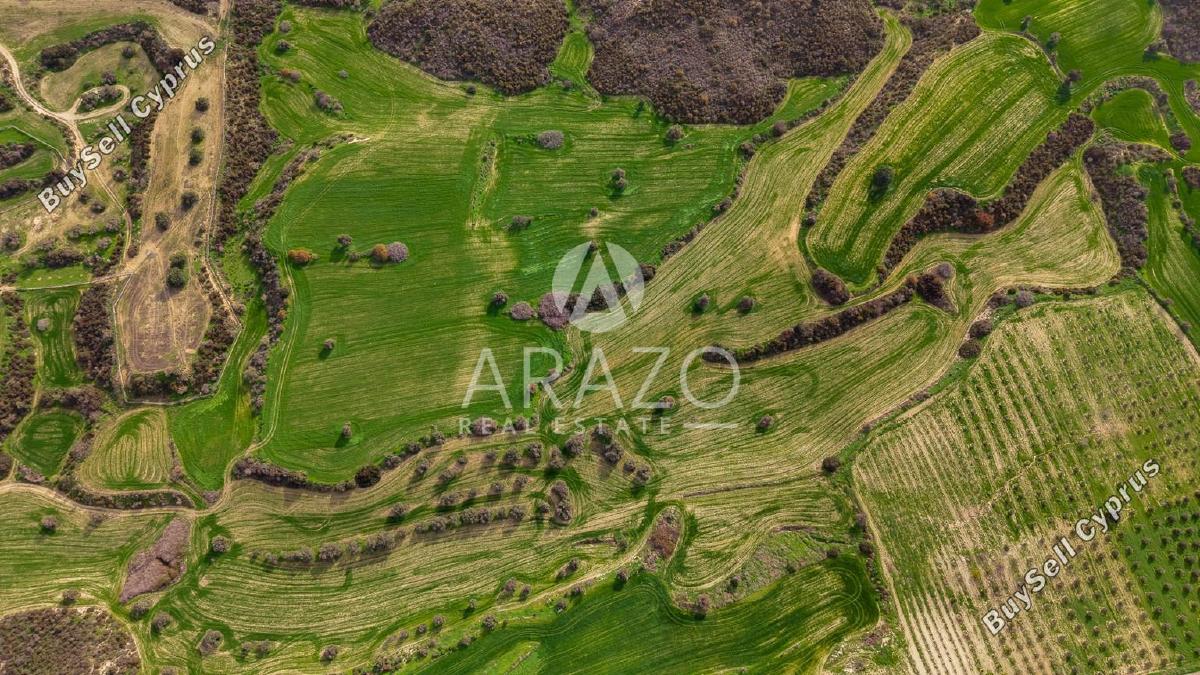 land for sale kofinou larnaca 8168719 image 13530806
