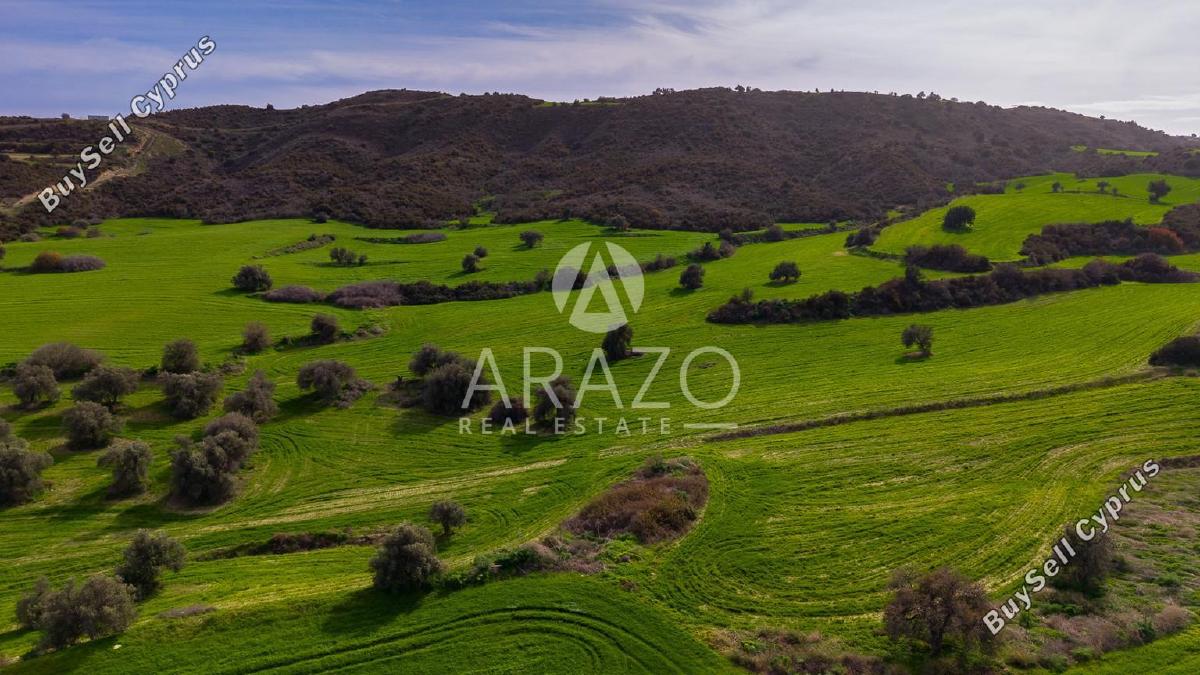 land for sale kofinou larnaca 8168719 image 13530807