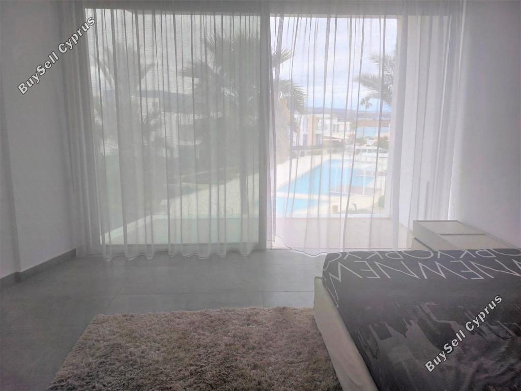 3 bedroom detached house for sale coral bay paphos 1682819 image 4388058