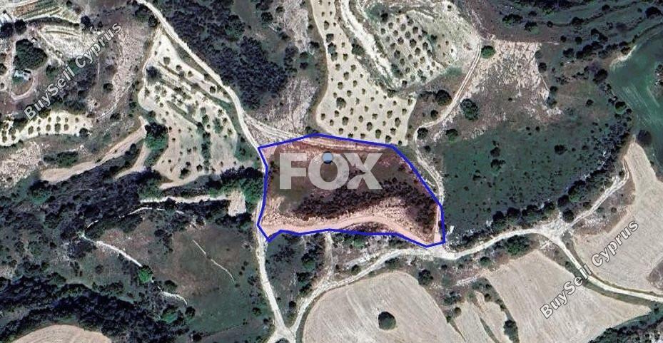 land for sale lemona paphos 1544819 image 5637546