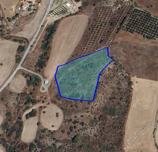 land for sale parekklisia limassol 1681819 image 4379087