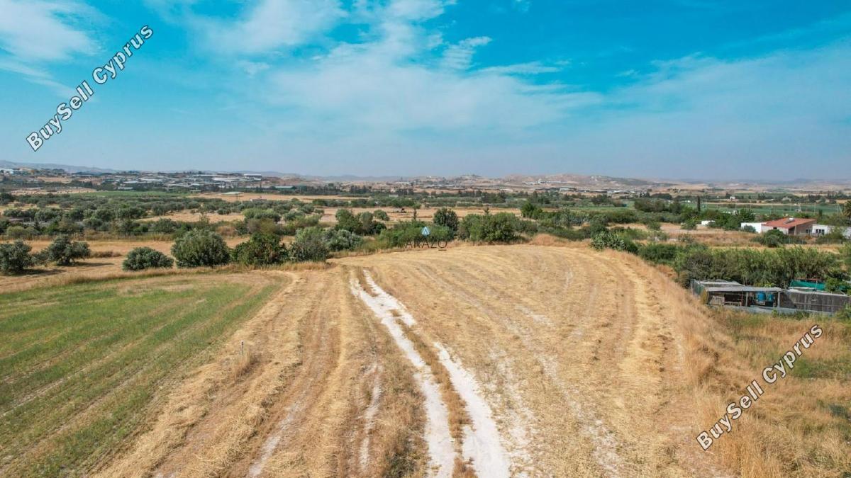 land for sale aradippou larnaca 957919 image 5602005