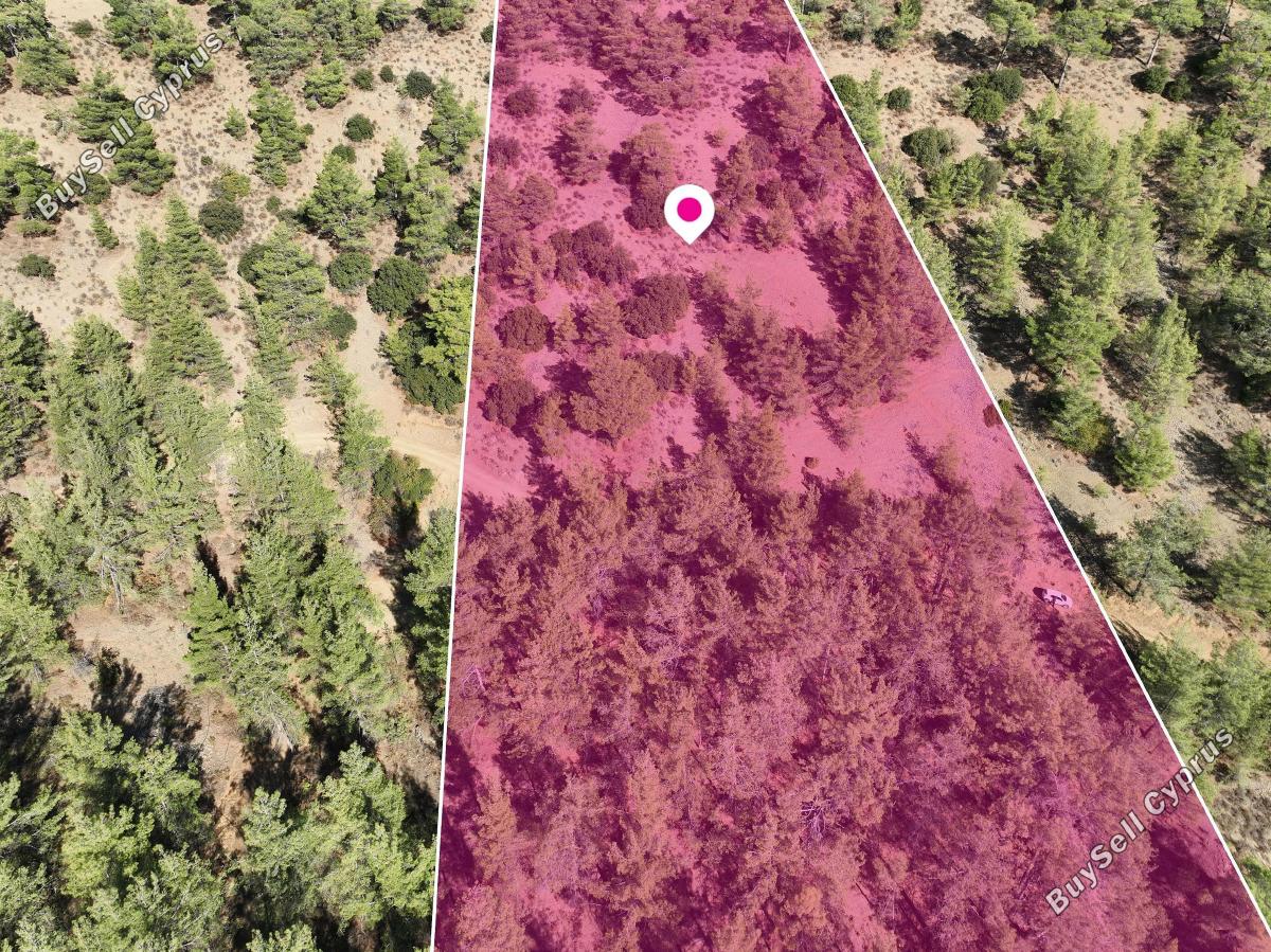 land for sale gerakies nicosia 8531919 image 15468658