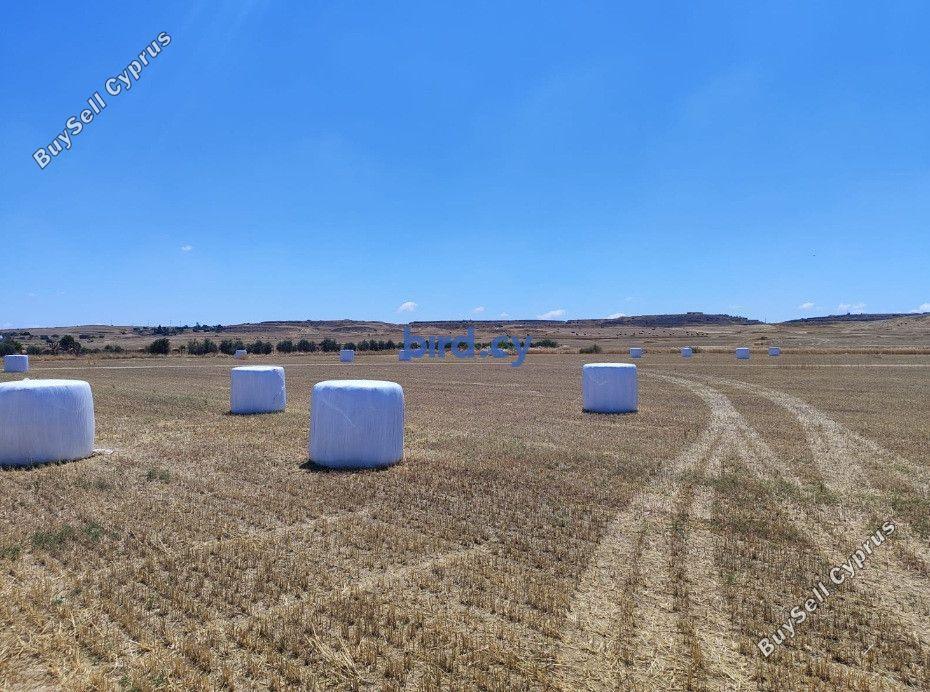 land for sale geri nicosia 8835919 image 17025656