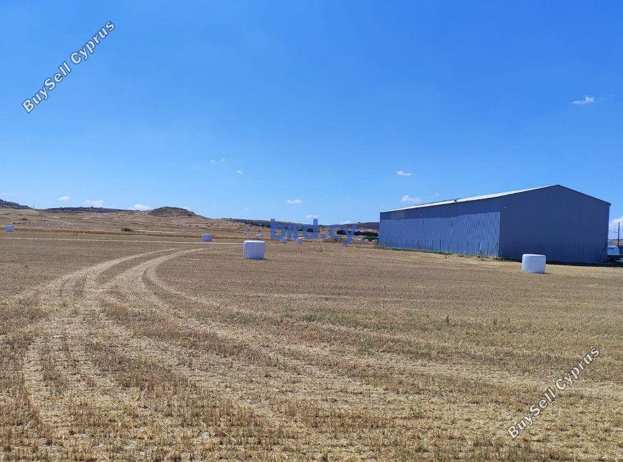 land for sale geri nicosia 8835919 image 17025657