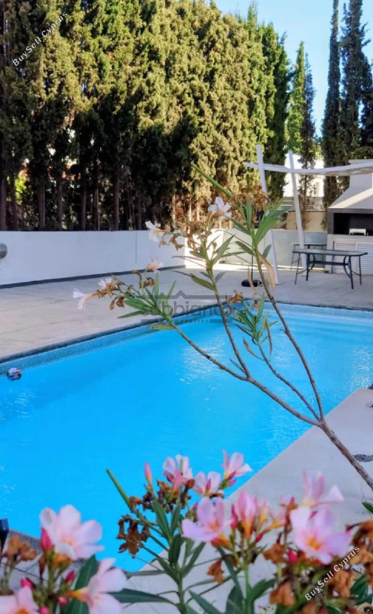 2 bedroom apartment for rent germasogeia limassol 8753029 image 16506878