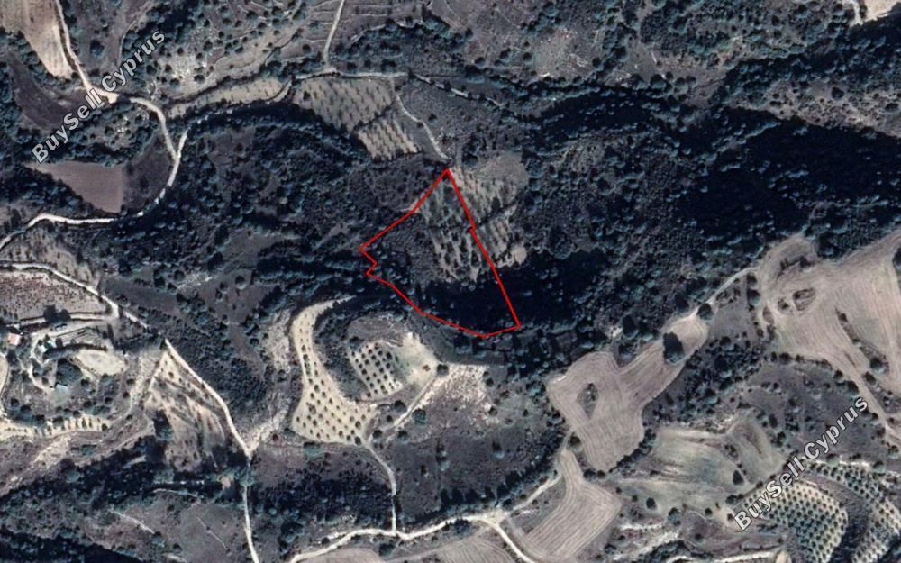 land for sale lemona paphos 828029 image 15178918