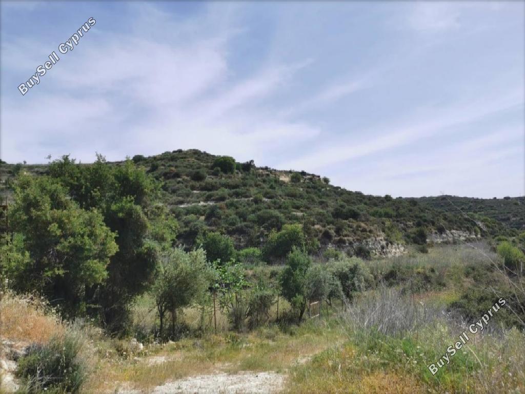land for sale pachna limassol 8630029 image 16656537