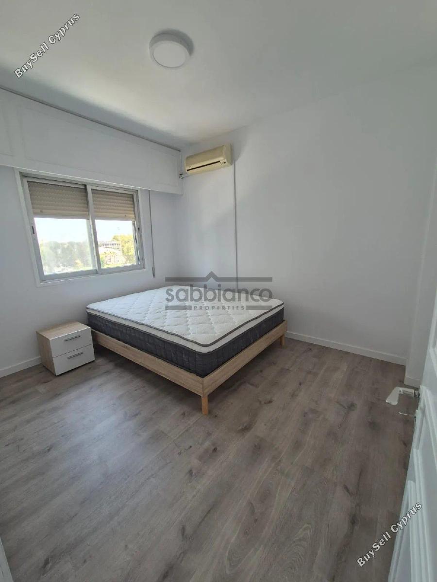 2 bedroom apartment for rent strovolos nicosia 8749129 image 16472596