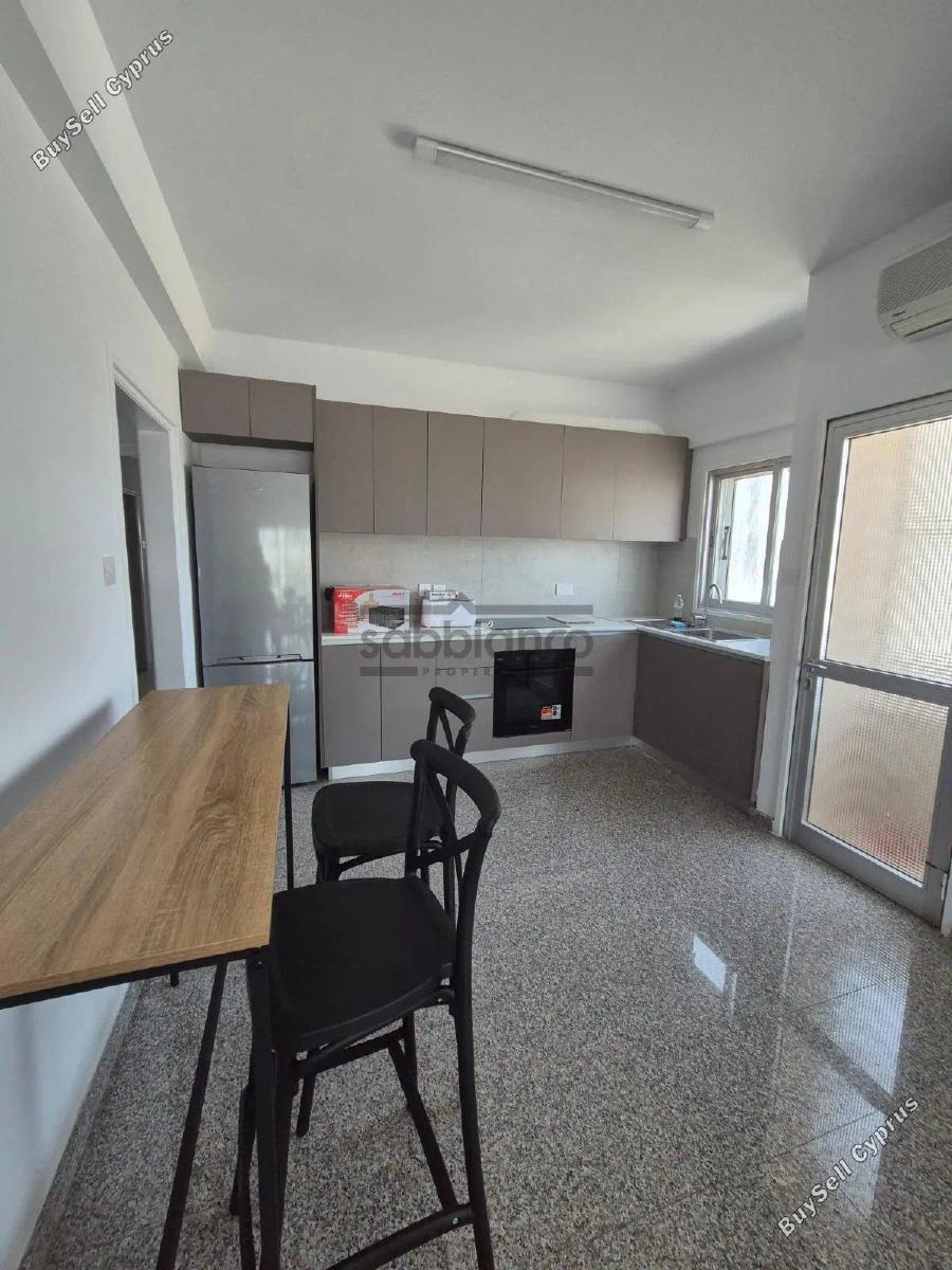 2 bedroom apartment for rent strovolos nicosia 8749129 image 16472619