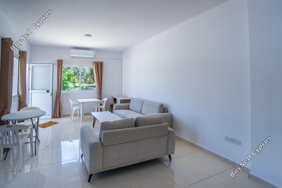 2 bedroom ground floor apartment for rent mesogi paphos 8765129 image 16557100
