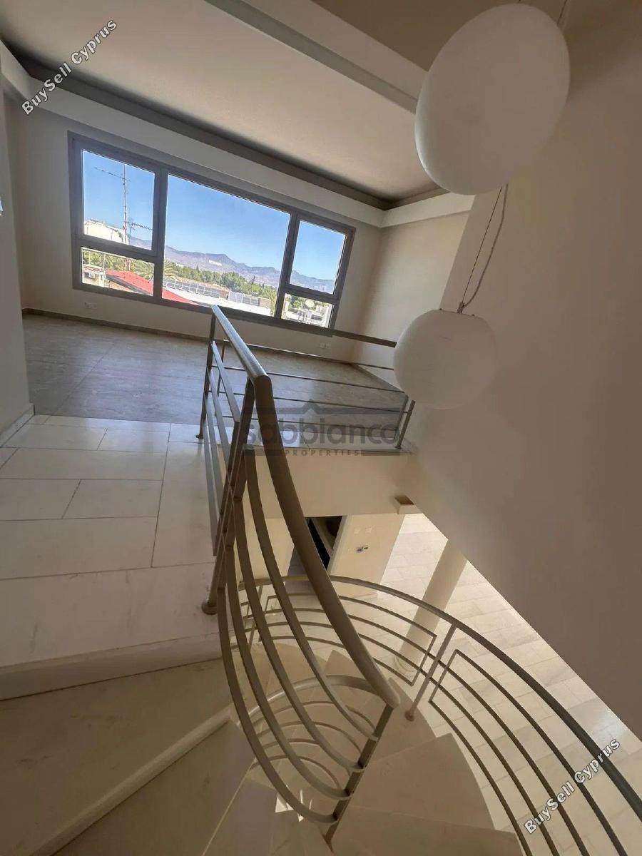 4 bedroom detached house for rent platy aglantzias nicosia 8740129 image 16378296