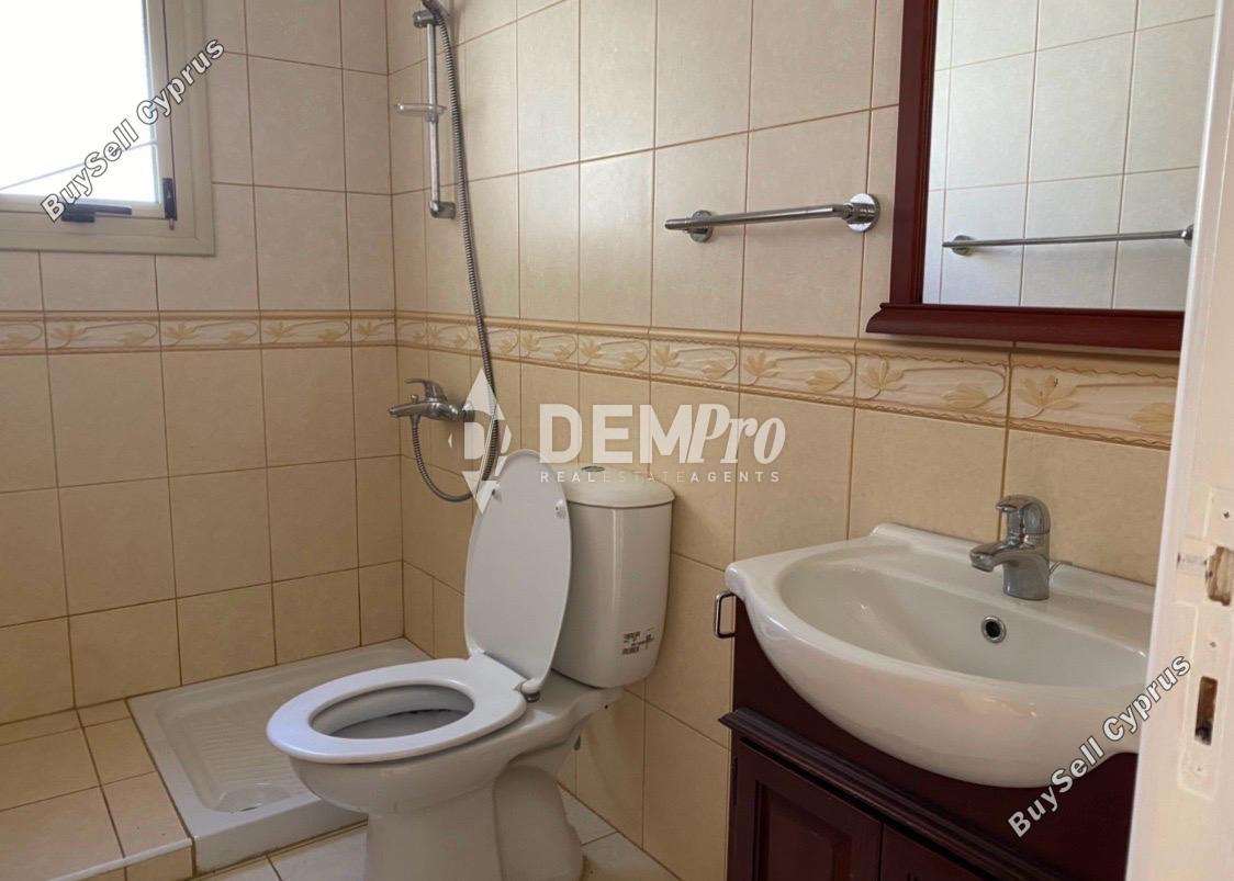 4 bedroom detached house for rent tala paphos 8827129 image 16969849