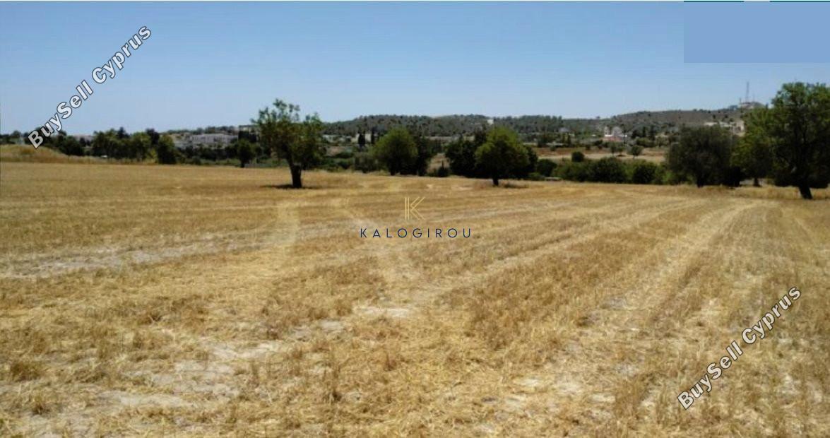 land for sale alethriko larnaca 1268129 image 5619783