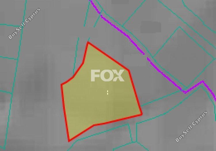 land for sale mesogi paphos 1159129 image 10029089