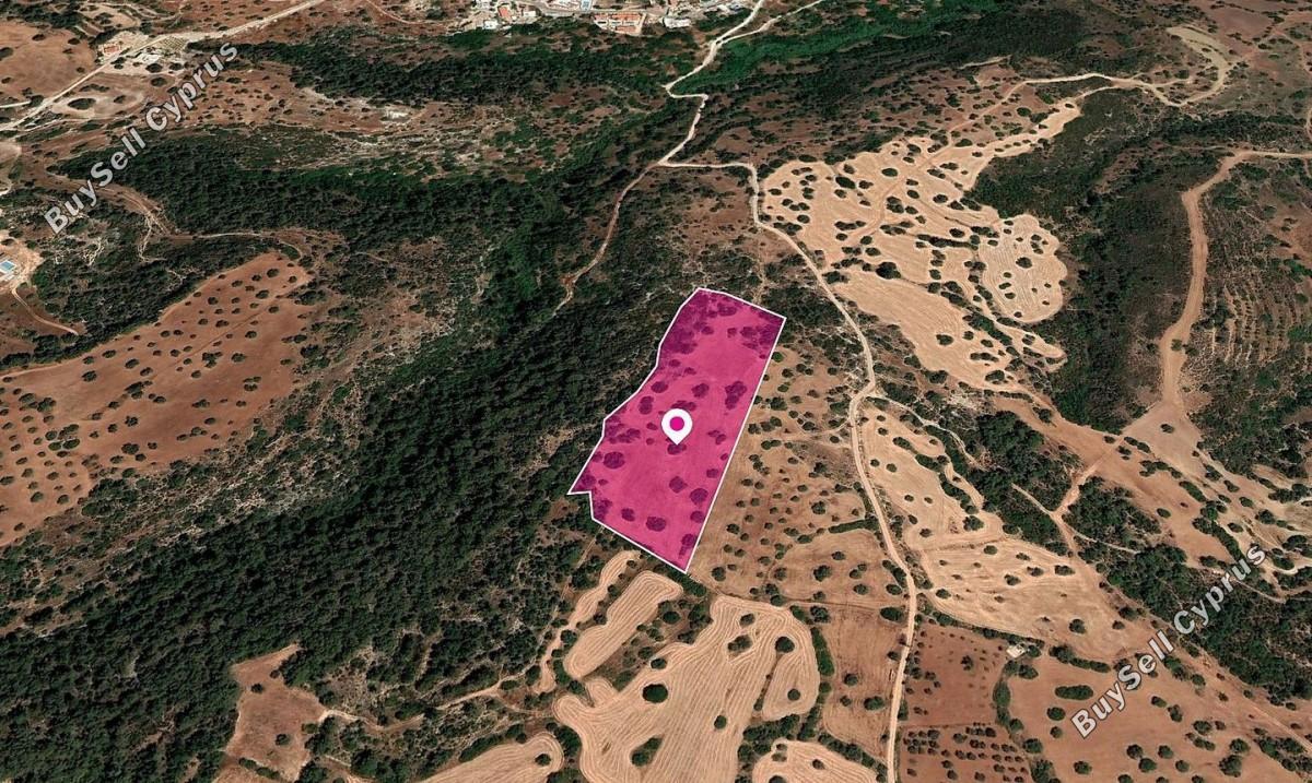land for sale neo chorio paphos 8396129 image 16257187