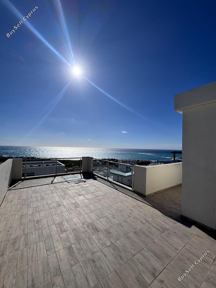 3 bedroom detached house for sale chlorakas paphos 8287229 image 16447984