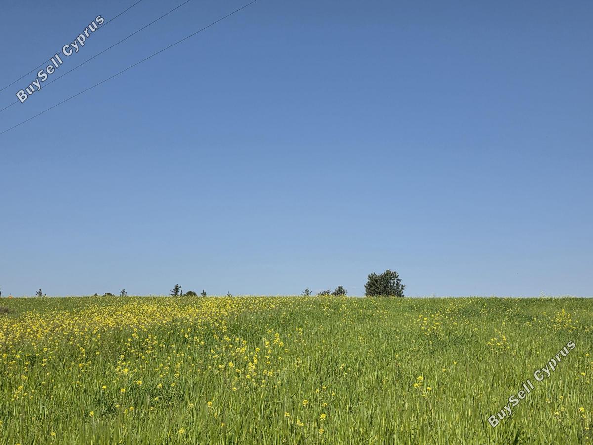 land for sale erimi limassol 7885229 image 14136850