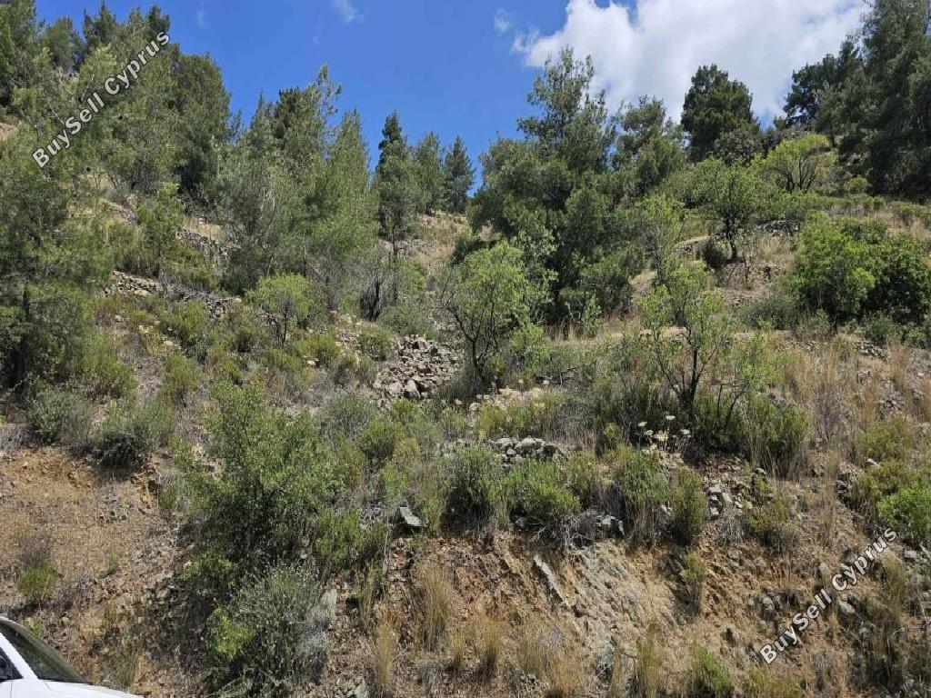 land for sale platanistasa nicosia 1785229 image 15597930