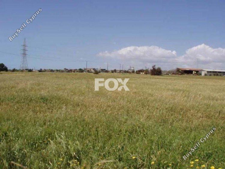 land for sale ypsonas limassol 1146229 image 5498788
