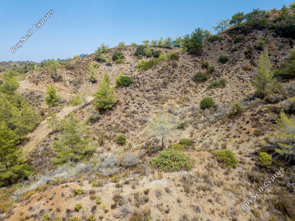 land for sale kato platres limassol 1336329 image 16700806