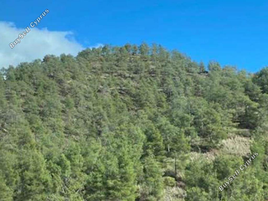 land for sale pera orinis nicosia 7980329 image 11622917