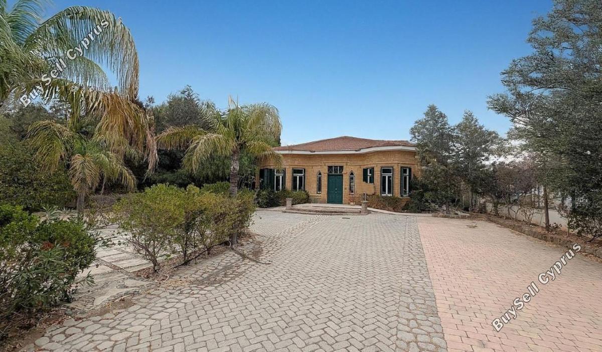 studio building for sale nicosia municipality nicosia 7784329 image 15980807