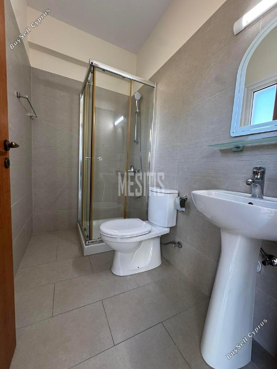 3 bedroom semi detached house for rent anafotida larnaca 8086429 image 16724266