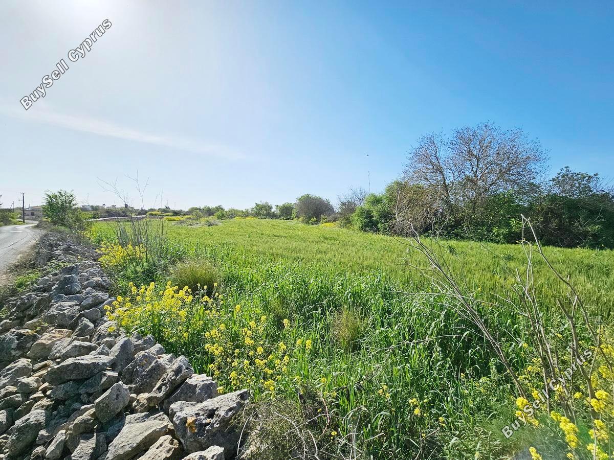 land for sale drousia paphos 1336429 image 2477094