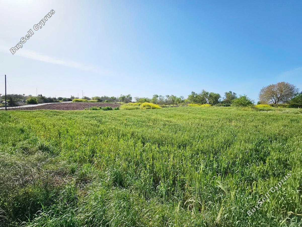 land for sale drousia paphos 1336429 image 2477096