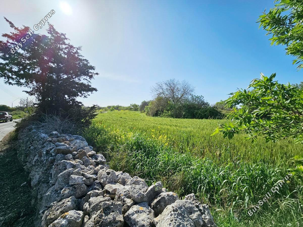 land for sale drousia paphos 1336429 image 2477097