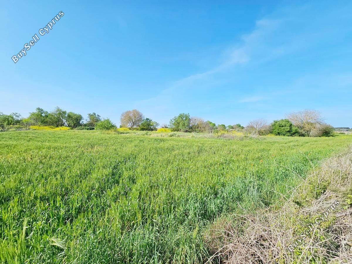 land for sale drousia paphos 1336429 image 2477098