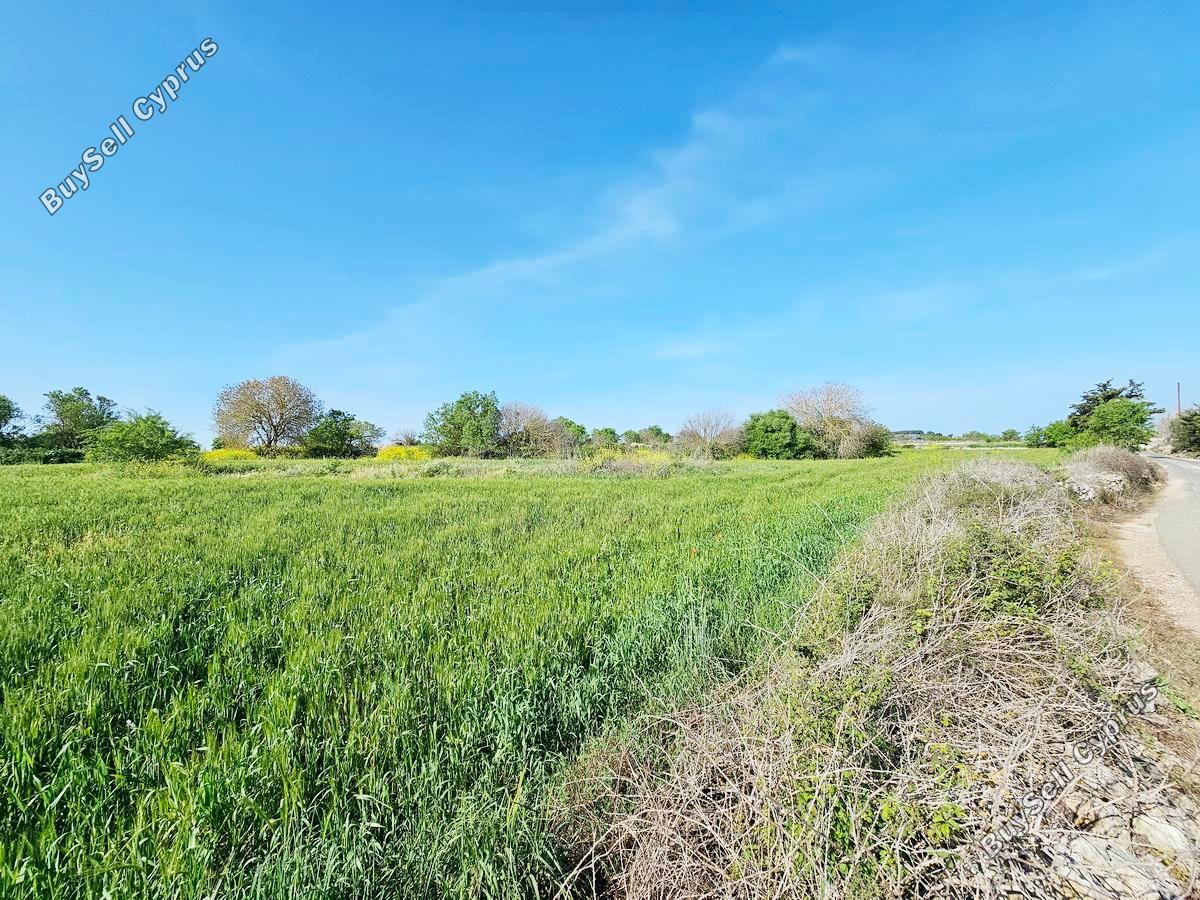 land for sale drousia paphos 1336429 image 2477099