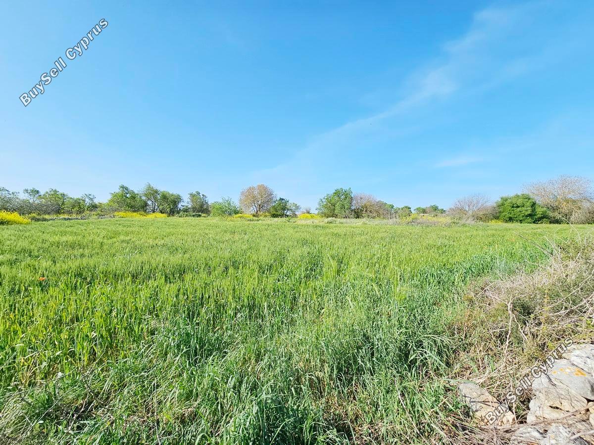 land for sale drousia paphos 1336429 image 2477101