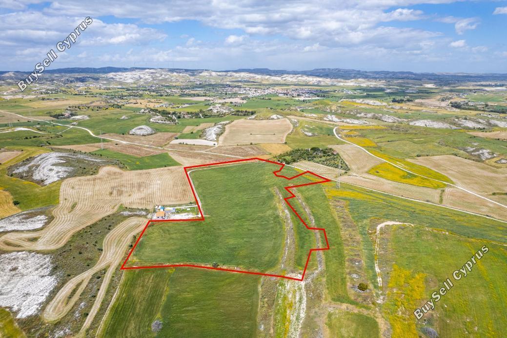 land for sale kalo chorio larnacas larnaca 896529 image 1386955