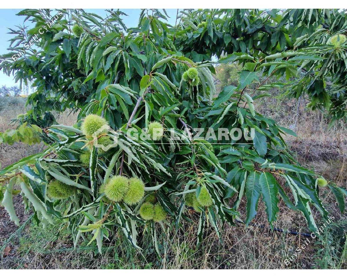 land for sale kampos nicosia 1813529 image 6268049