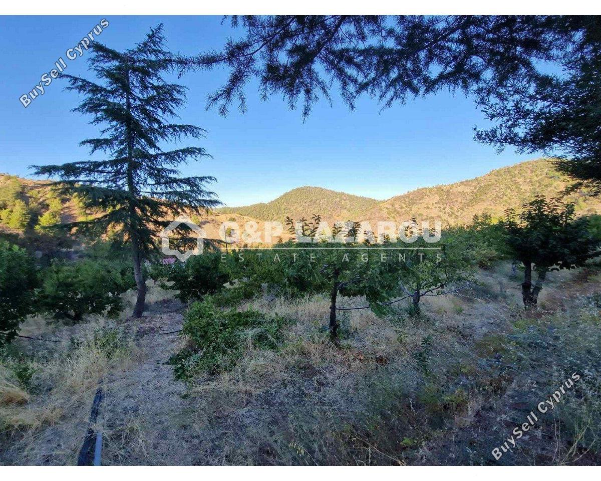 land for sale kampos nicosia 1813529 image 6268051