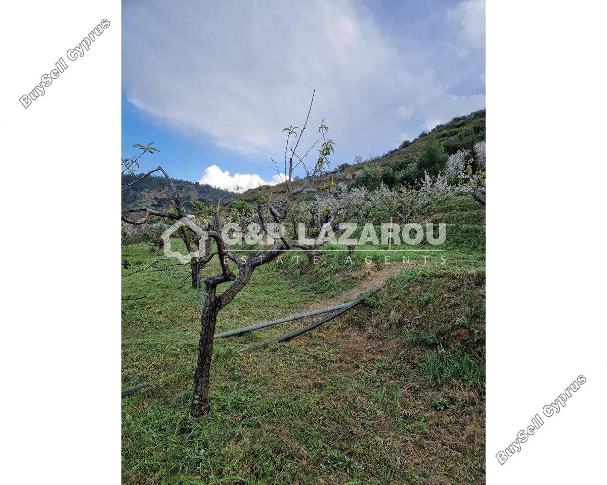 land for sale kampos nicosia 1813529 image 6268072