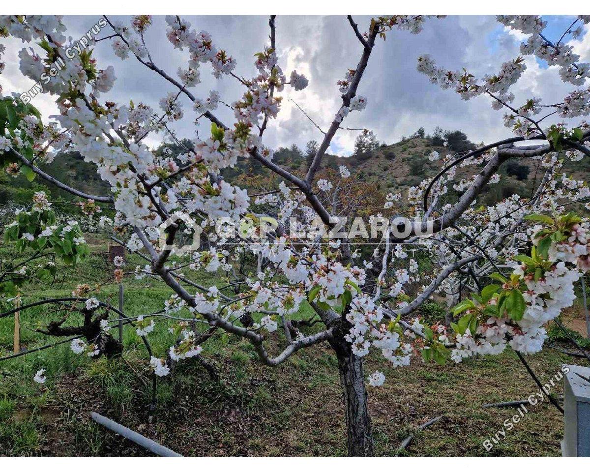 land for sale kampos nicosia 1813529 image 6268081
