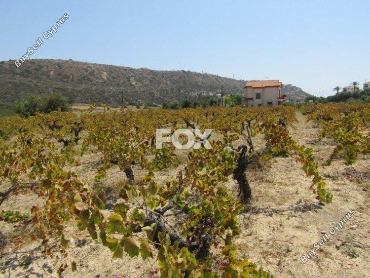 land for sale pissouri limassol 1146529 image 5496428