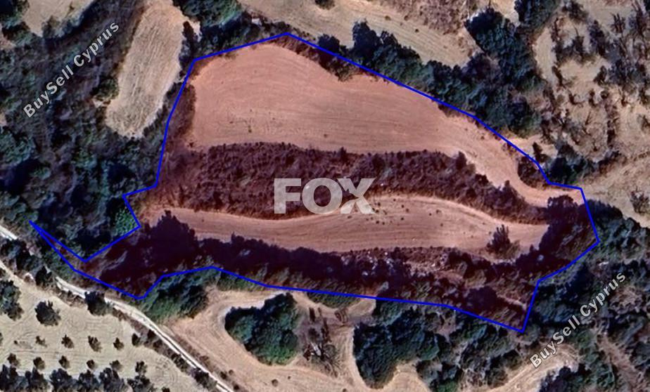 10703 SQM Land for sale in Simou, Paphos 10008872