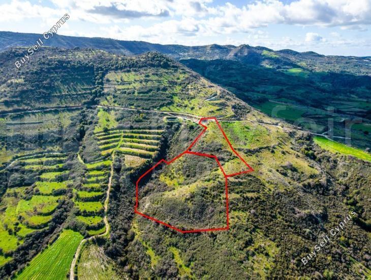 17559 SQM Plot for sale in Dora, Limassol 15884818