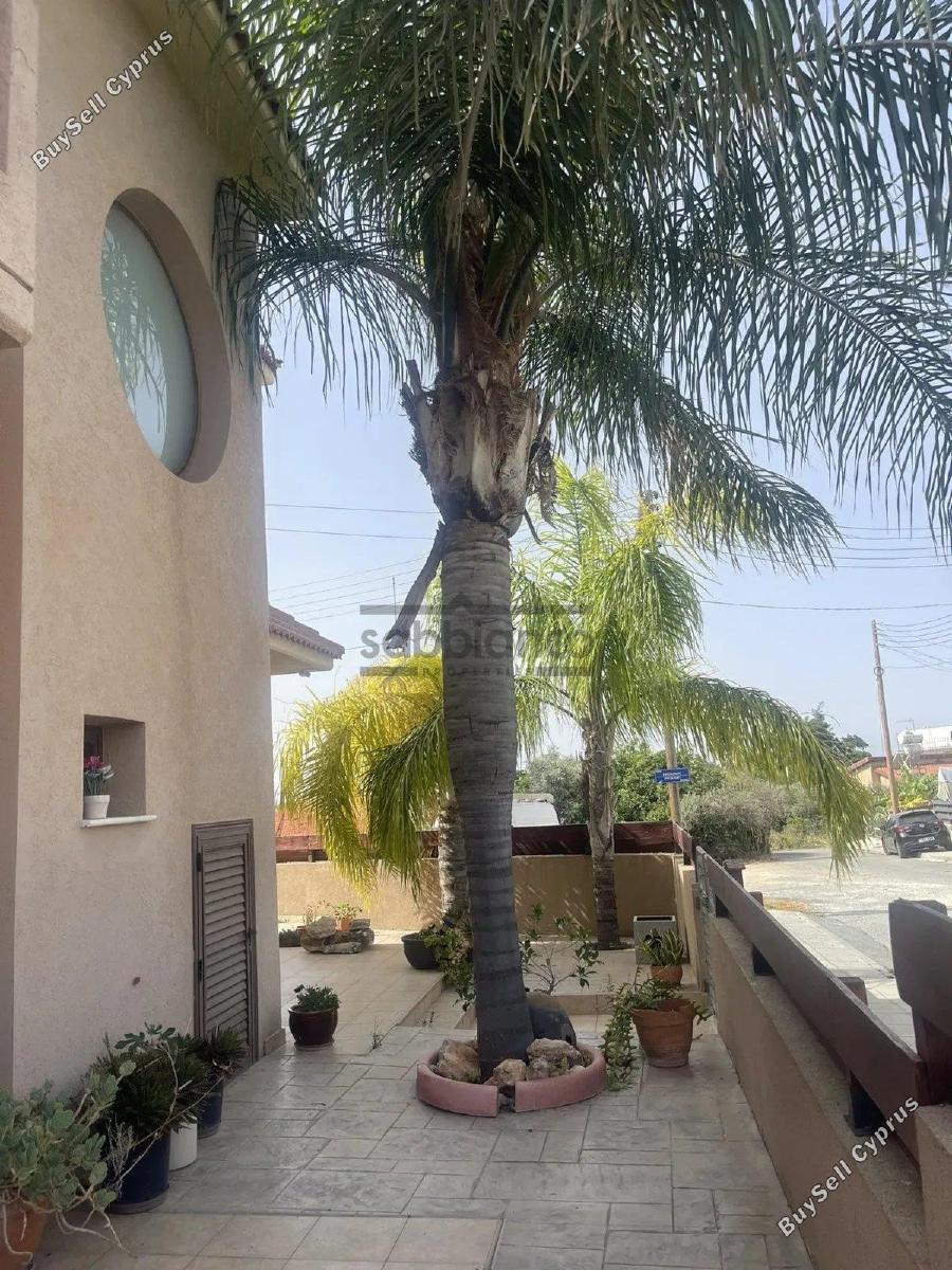 3 bedroom detached house for sale kolossi limassol 8747629 image 18075694