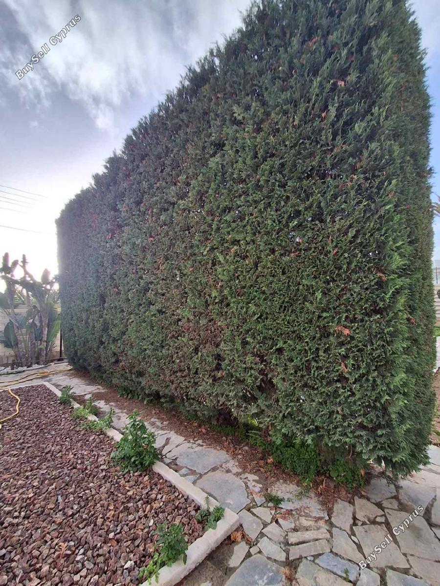 4 bedroom detached house for sale latsia nicosia 1252629 image 15910965