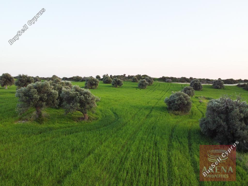 land for sale agios theodoros larnacas larnaca 1269629 image 13152806