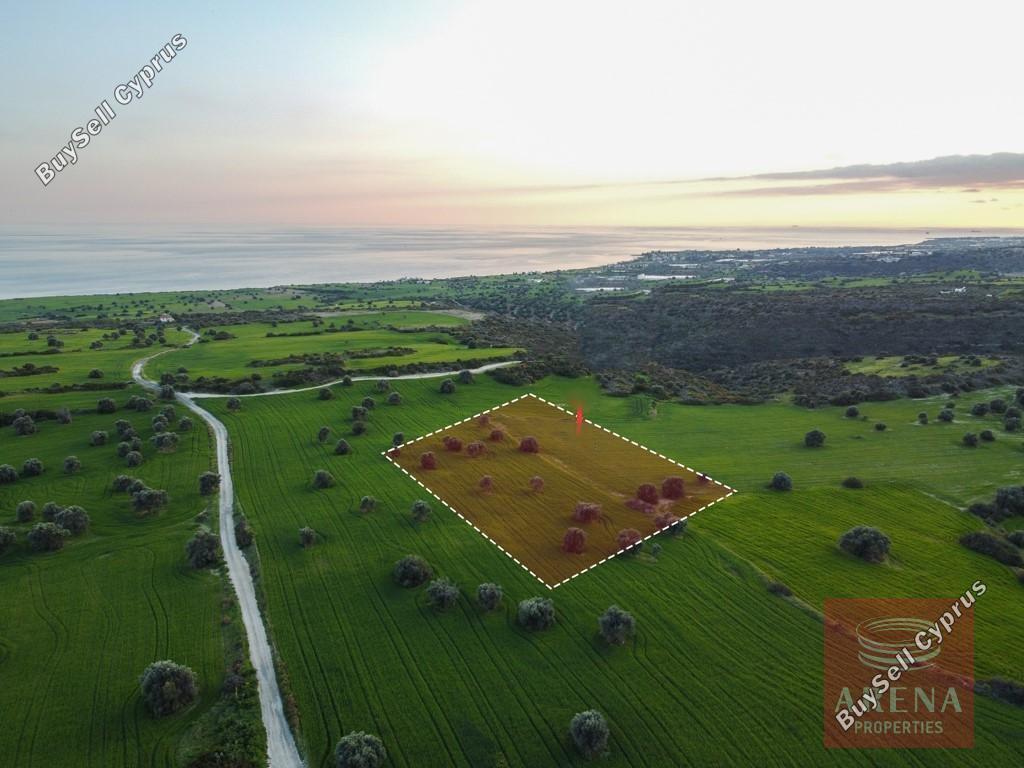 land for sale agios theodoros larnacas larnaca 1269629 image 13152811